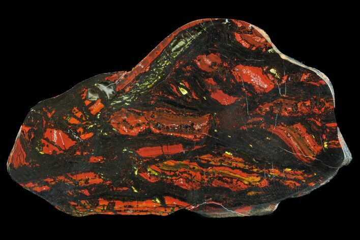 Polished Tiger Iron Stromatolite - ( Billion Years) #75832